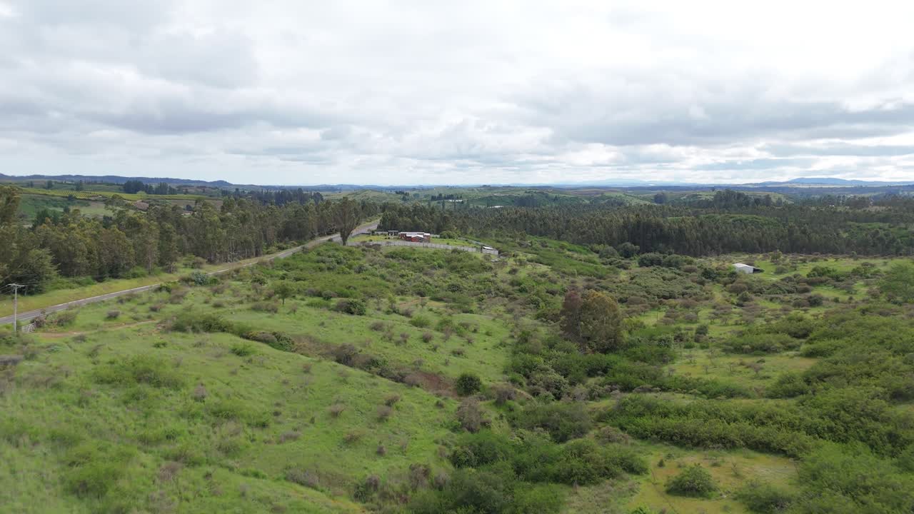 trees and hills in Matanzas, Navidad commune, Ohiggins region, Chile