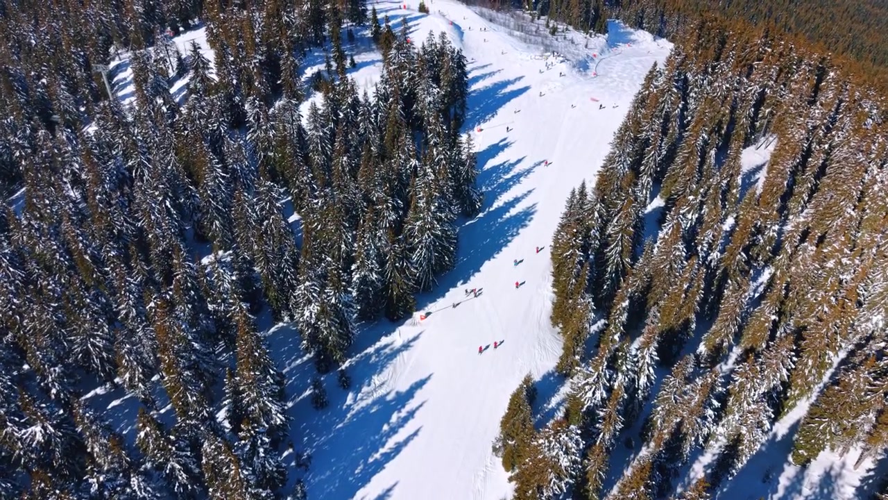 Vista dall'alto di una pista da sci circondata da alberi. Persone sciano lungo il percorso montano innevato sotto la luminosa luce solare invernale.