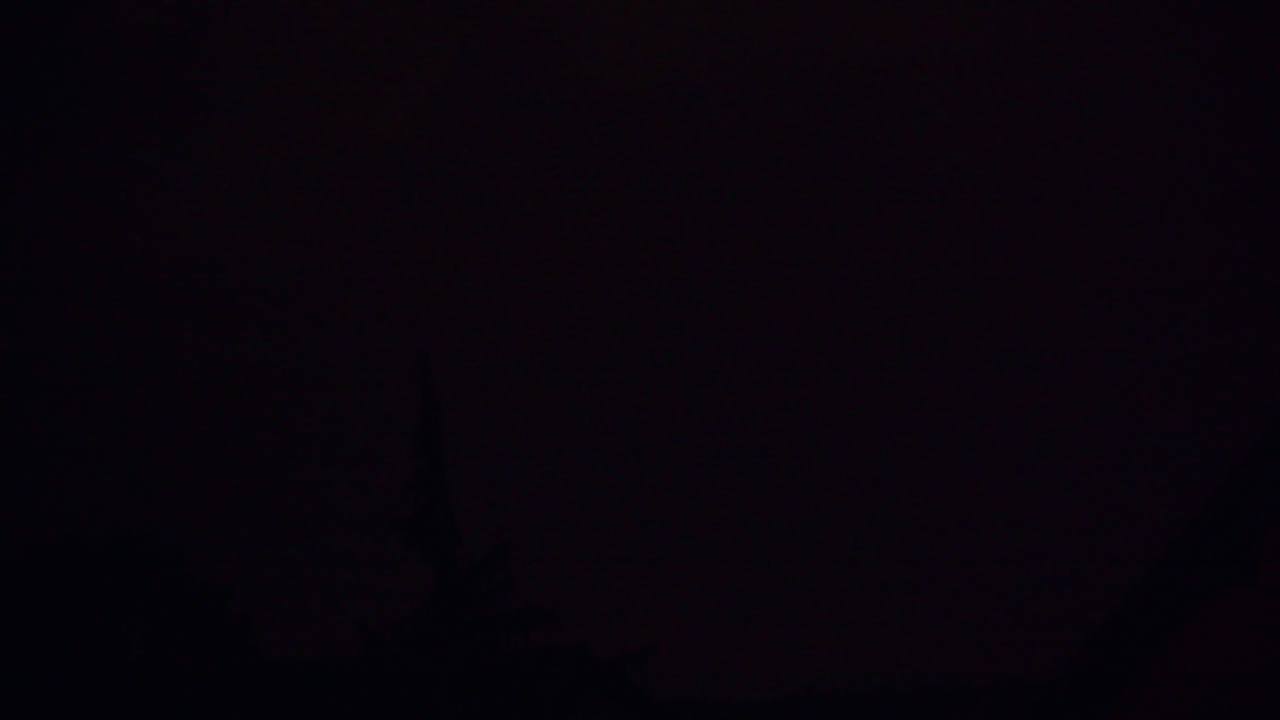 tormenta eléctrica por la noche, árbol y casa de luz de fondo de los rayos, disparo de luz baja estática