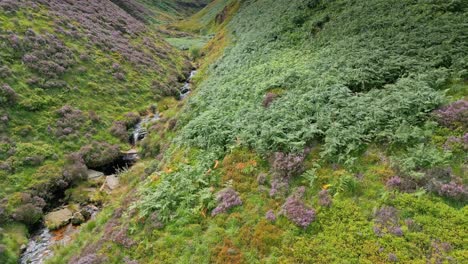 Sich-Langsam-Bewegender-Wasserfallstrom,-Der-Ein-Moorland-Hinunterfließt