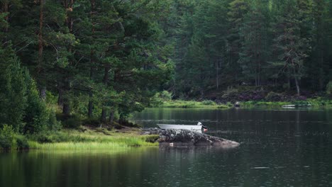 a rainy day on the lake in the pine forest