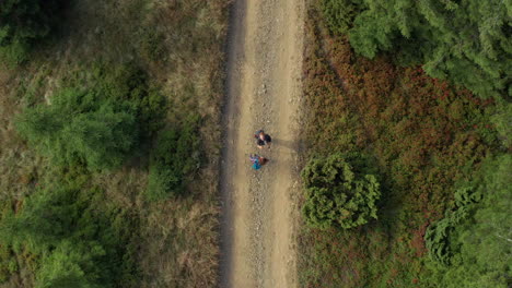 couple exploring woods road aerial scene young people enjoying nature land