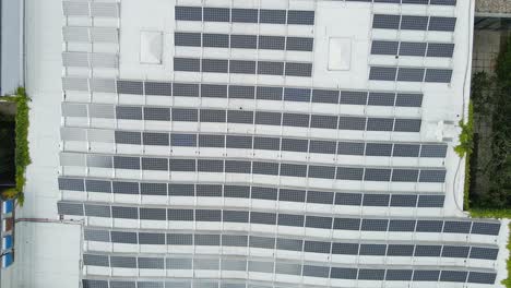 beautiful top down aerial of photovoltaic solar panels covering the rooftop of an industrial building on a sunny day