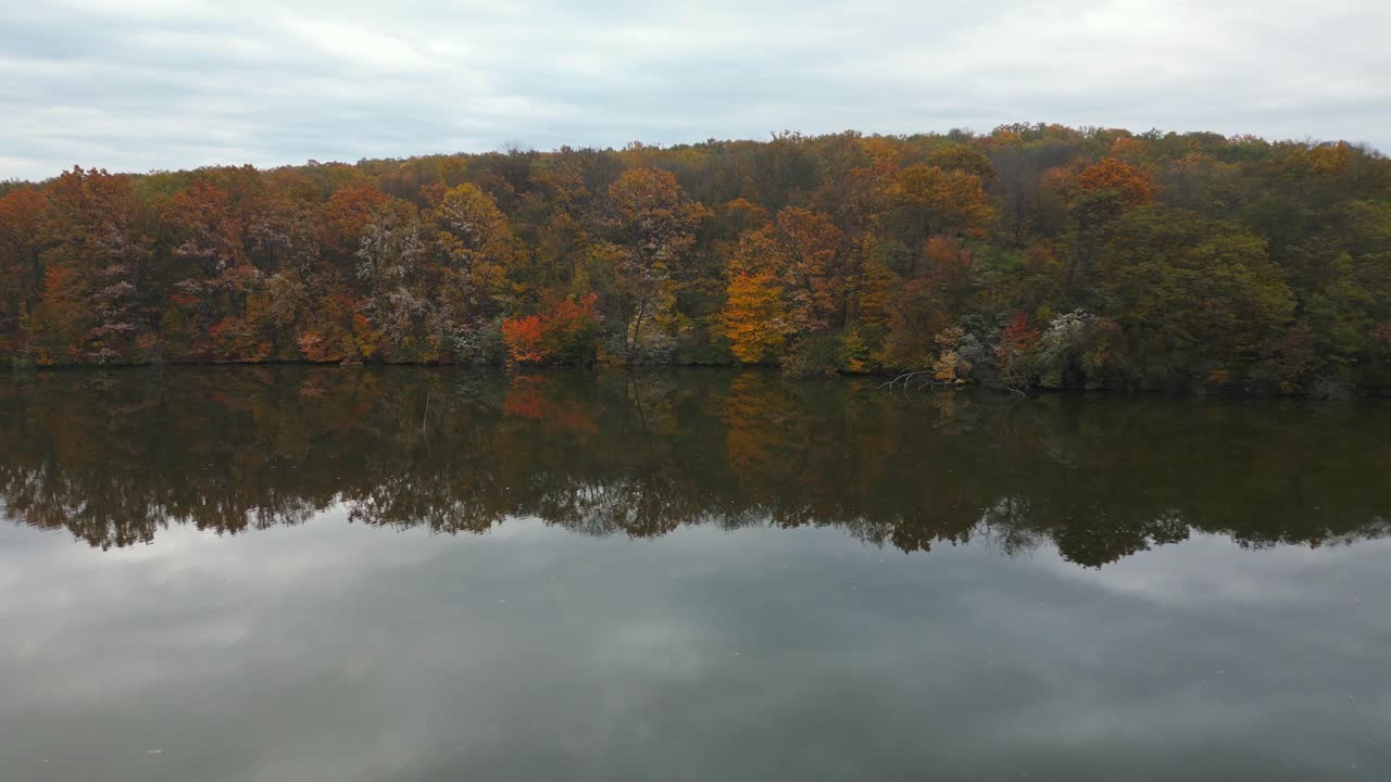 은 가을의 숲이 루마니아의 비카즈 호수의 평온한 표면에서 반사됩니다.