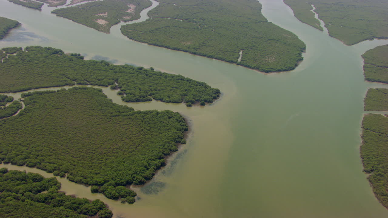 vuelo aéreo sobre el bosque de manglares con hermoso mar, dos barcos en el mar moviéndose con bosques de manglares