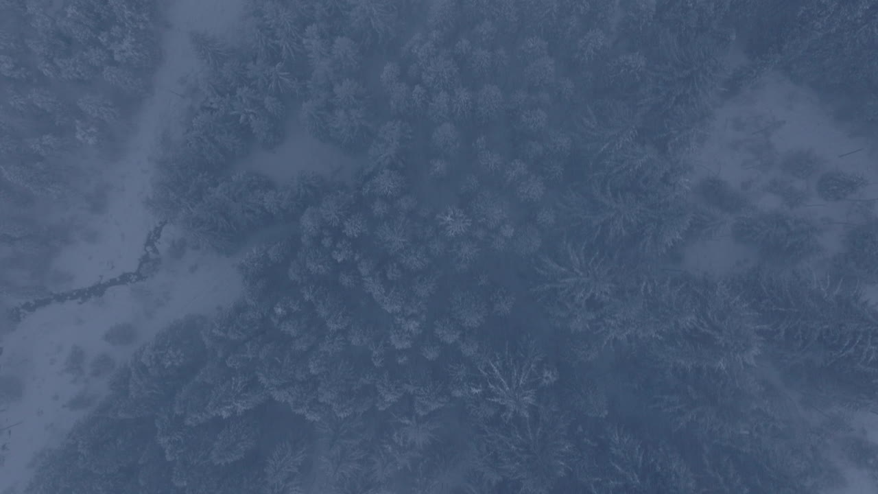 Aerial top down shot of heavy snowfall over trees and mountain