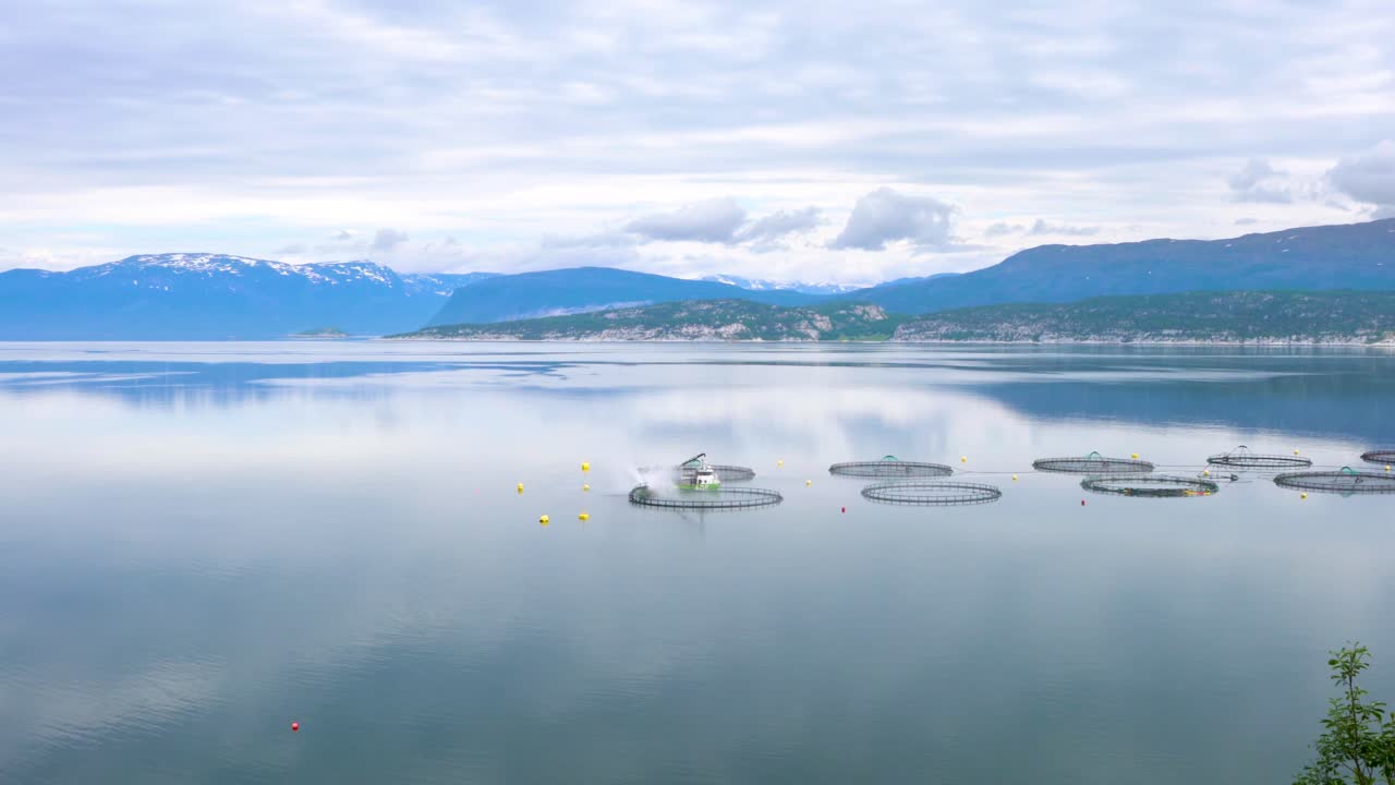 연어 농장  ⁇ 시