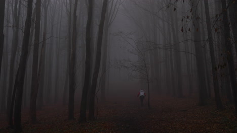 fog in the middle of a forest road surrounded by tall trees and a woman going uphill