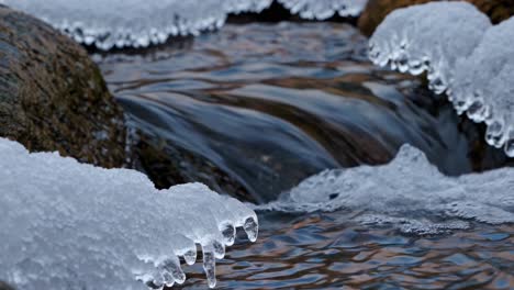 frozen stream with icicles