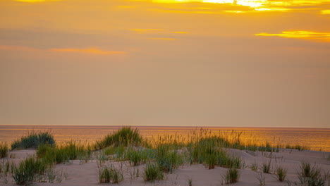 golden sunset over sandy beach dunes