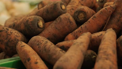 fresh organic vegetables at the farmers market. raw vegetables