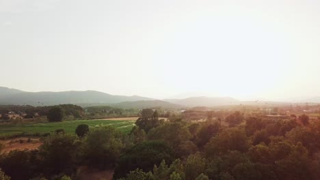 Luftdrohnen-Schossen-Beim-Vorwärtsfliegen-über-Einen-Wald-Mit-Grünen-Feldern-Und-Dem-Sonnenuntergang-Im-Hintergrund