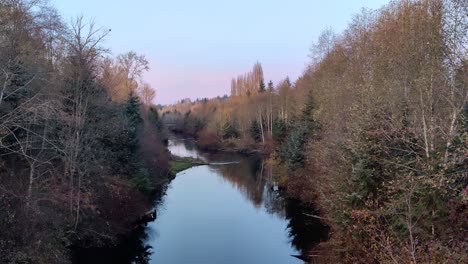 Ruhiger-Fluss,-Der-Durch-Einen-Wald-Fließt