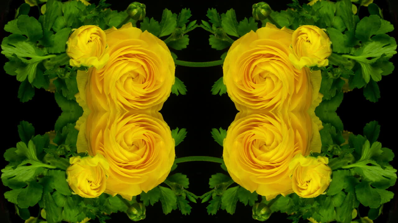 жёлтый цветок1