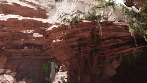 inside a limestone cave with plants and sun shine