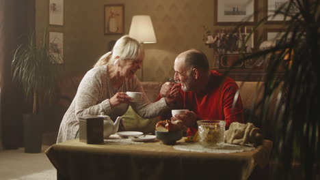 elderly couple enjoying tea time at home