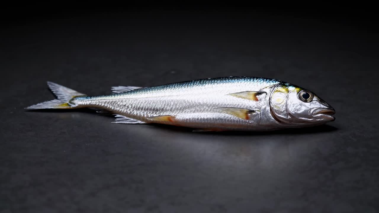 신선한 물고기 어두운 표면