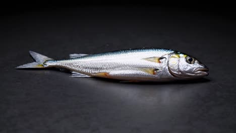 pescado fresco en superficie oscura