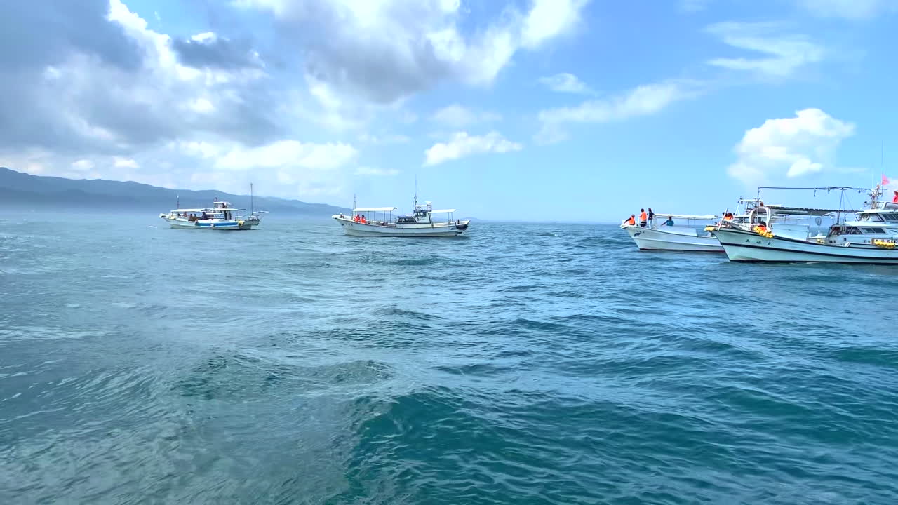 Boats to transport tourists anchored in the bay floating in the sea with a beautiful blue sky and clouds waiting to watching Dolphin in Amakusa Japan