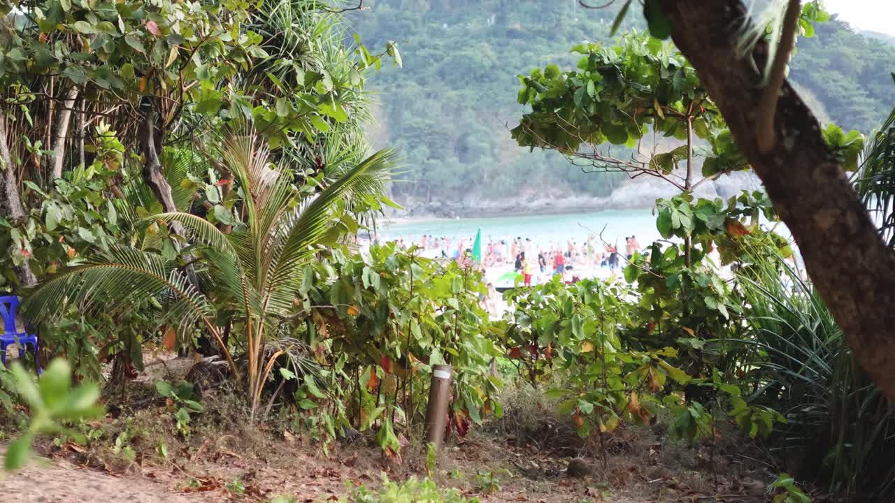 vislumbres de una playa llena de gente a través de la vegetación