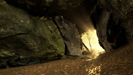 sunlight shining through a cave opening in a forest