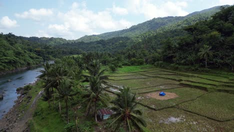 terraced agriculture fields near large river at base of lush green mountain