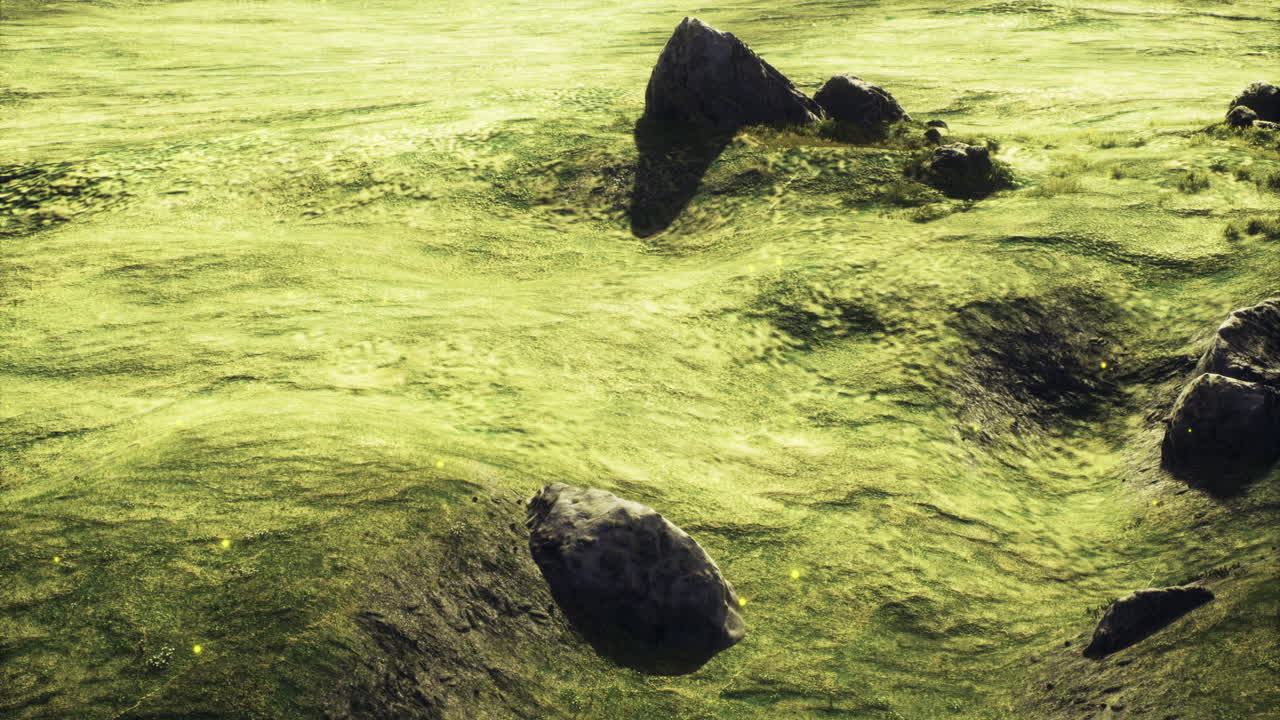 Bright sunny day over a vibrant green landscape with scattered rocks