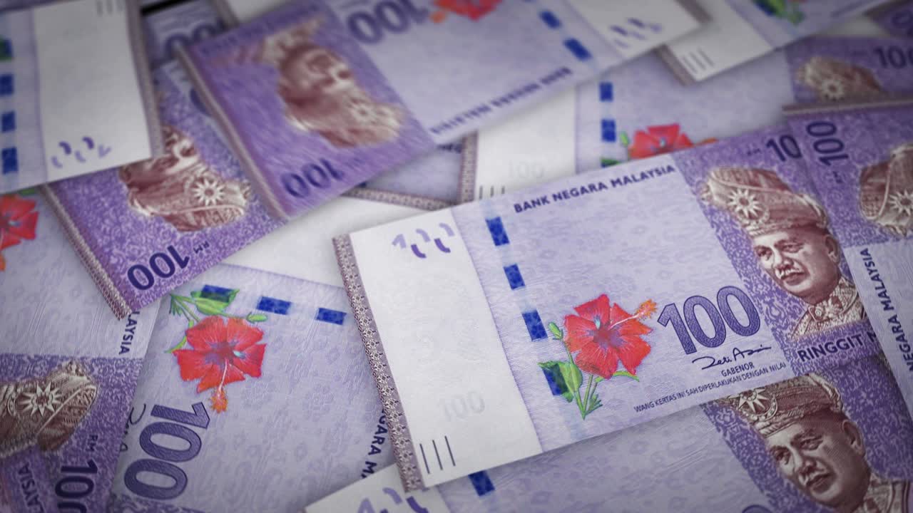말레이시아 링기트 (malaysia ringgit) 는 돈의 무더기로 성장하고 있습니다.