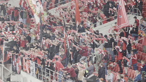 soccer fans in stadium