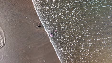 aerial, birds eye view shot of family enjoying the mild waves on a scenic brown sand beach