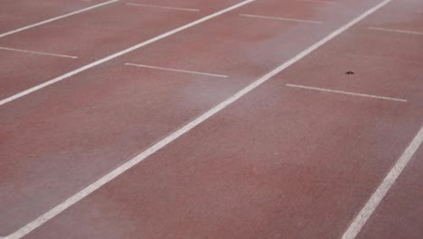 close up moving shot of the lines printed on an athletics track