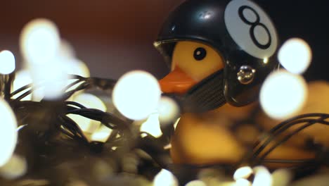 close-up shot of rubber duck in hand made motorcycle helmet on background of christmas garland