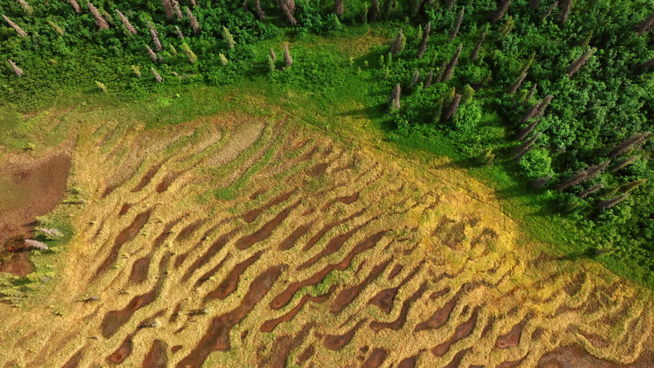 Alaska stunning natural patterns. Vibrant topography in Alaska features colorful textures of land and lush green forest, ideal for travel adventures