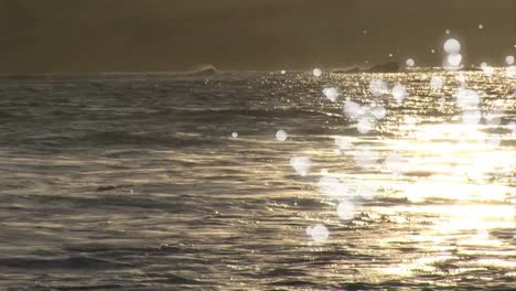 Beach-shore-with-short-waves