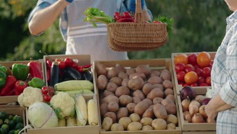 el vendedor da una canasta de verduras a las manos del comprador