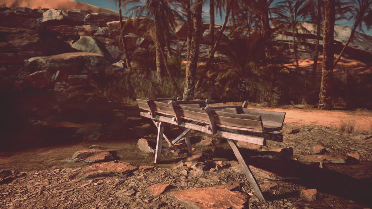 종려나무 가 있는 사막 오아시스 에 있는 나무 구조물