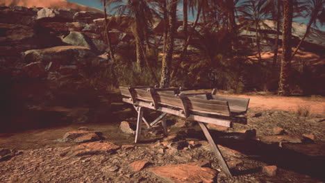 a wooden structure in a desert oasis with palm trees