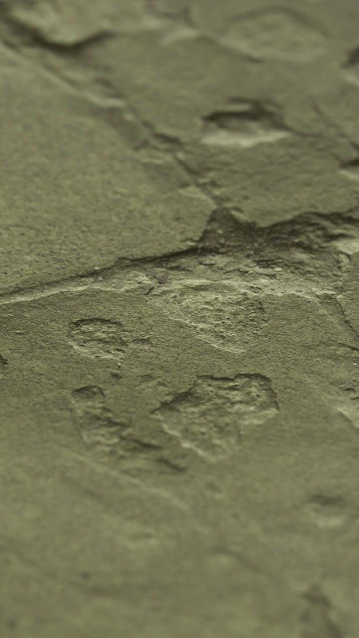 Footprints in stone from a past time found on a flat rock surface