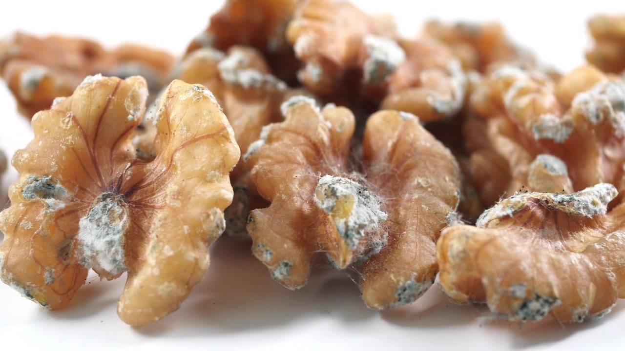 Close-up of Moldy Walnuts on White Background