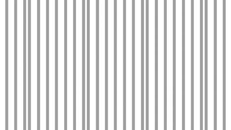 graphic pattern in black and white with stroboscopic and hypnotic effect, while increasing in size and then reducing it.