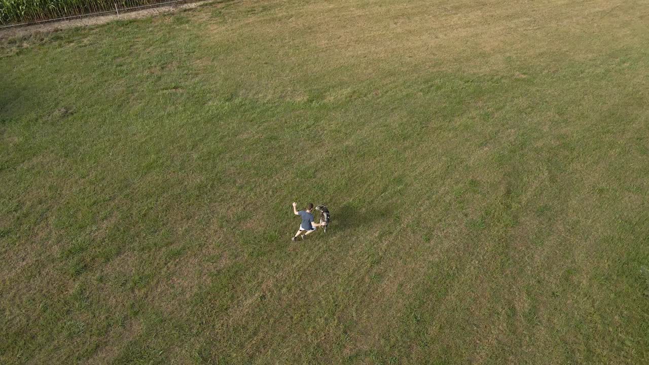 한 남자가 녹색  ⁇ 에서 개와 함께 달리고 놀고 있는 공중  ⁇ 에서 내려다보는 장면