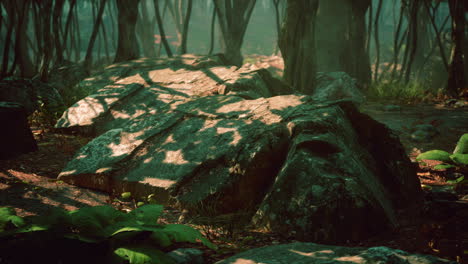 Gruseliger-Mystischer-Magischer-Tiefer-Wald