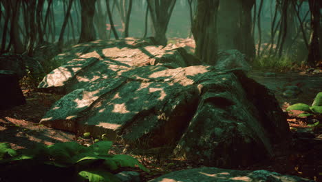 espeluznante magia mística profundo bosque