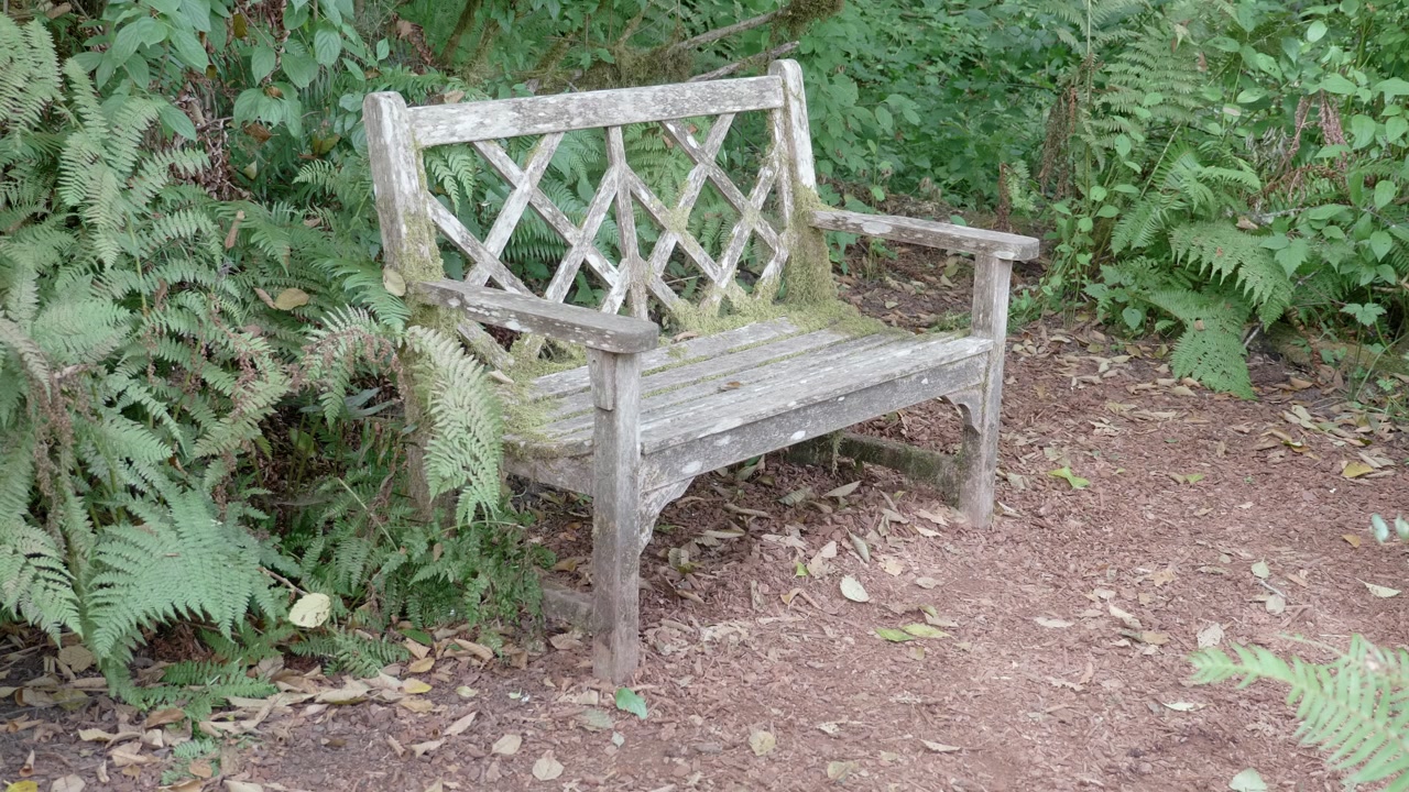 A warn, rustic, yet beautiful bench in the woods.