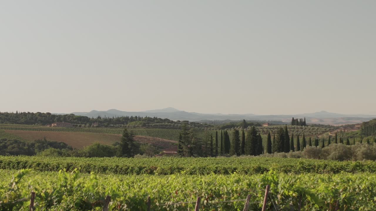 Un vasto panorama che si affaccia su montagne, colline e filari di vigneti della Toscana, Italia