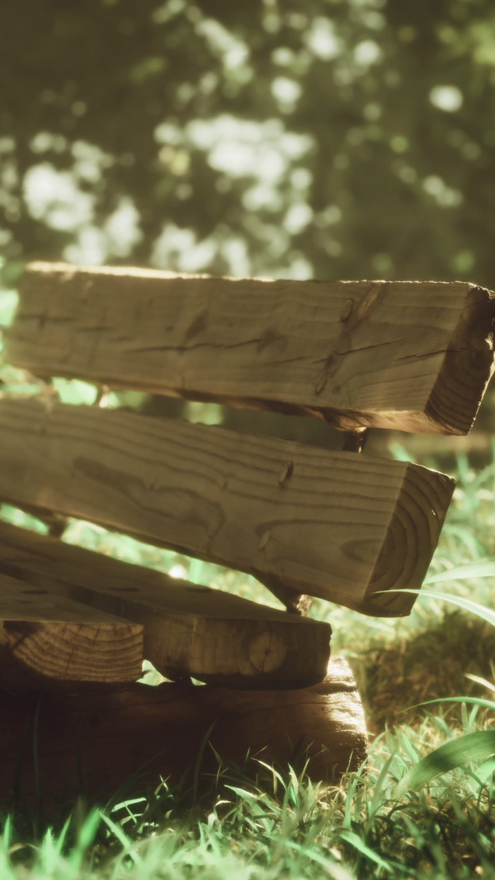 Wooden bench sits in grass under sunlight in a forest setting