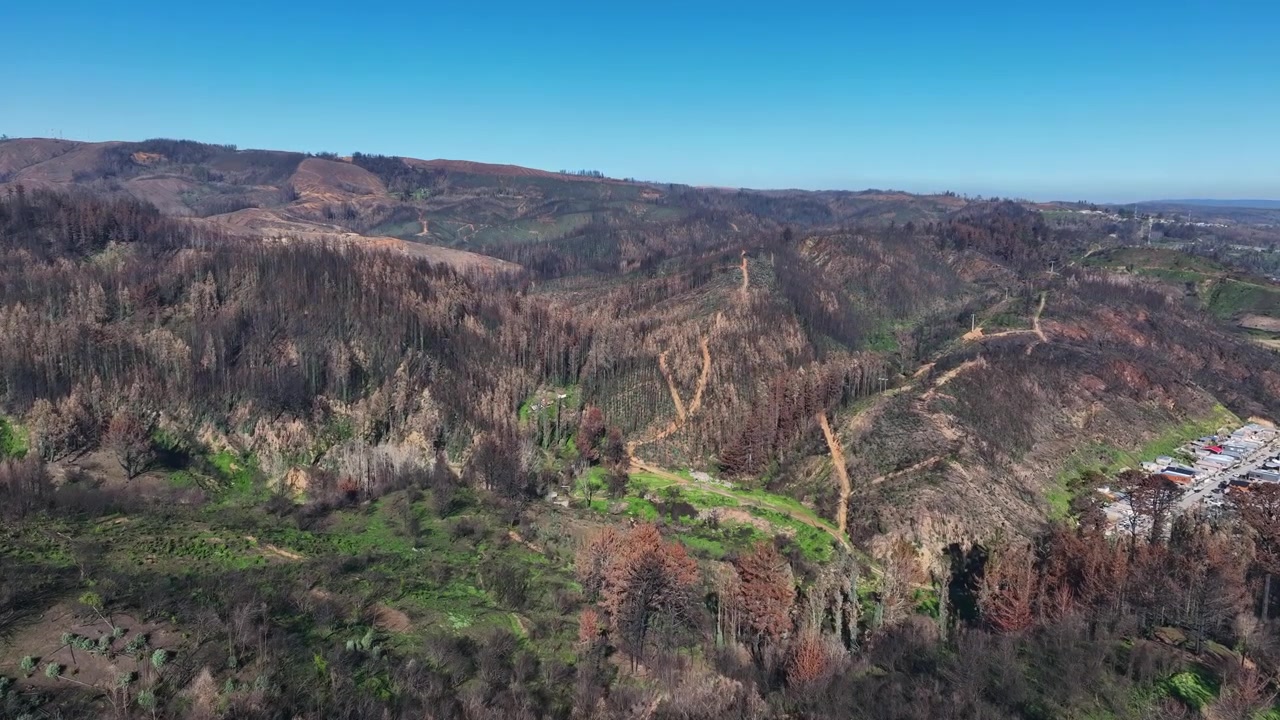 Volo planato su vaste colline bruciate e foreste carbonizzate con sentieri sterrati che si snodano attraverso il terreno sfregiato verso tetti industriali distanti
