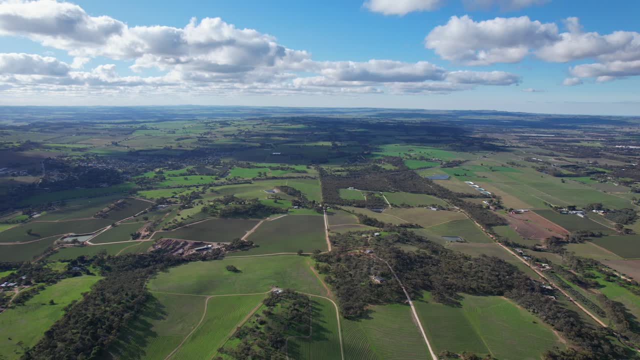 плантации и зеленые поля в долине баросса, южная австралия - панорамный взгляд с воздуха