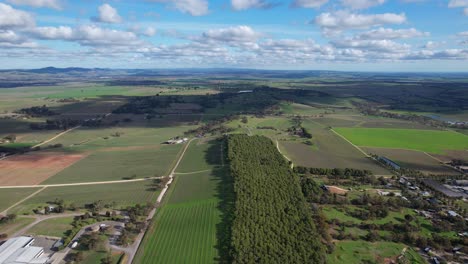 campos verdes y árboles forestales en el valle de barossa en el sur de australia - fotografía aérea