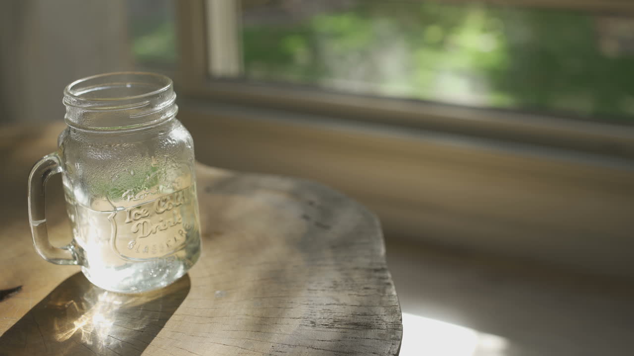 도시 아파트에서 식물에서 잎을 꺼내